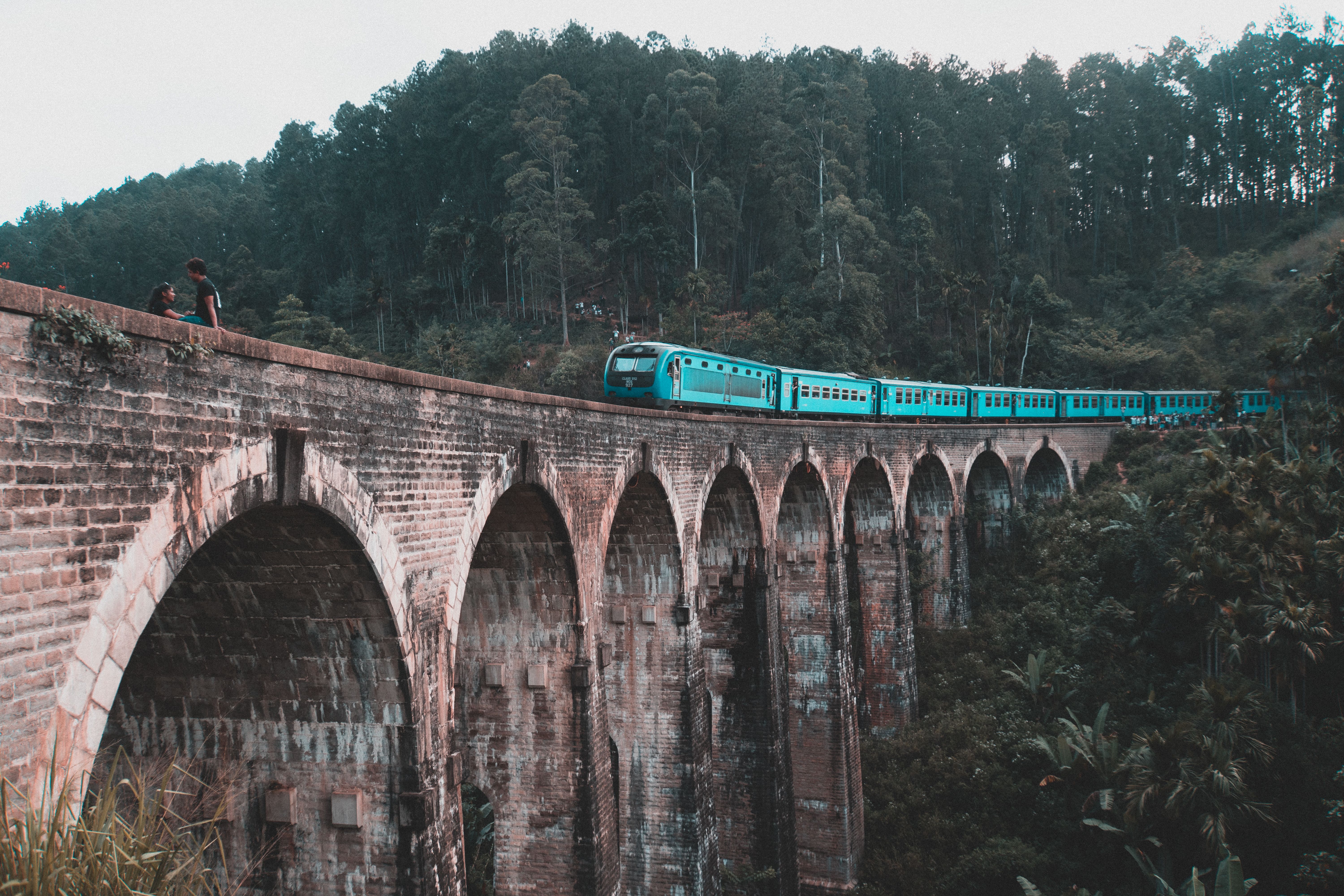 Sri Lanka train through tea plantations